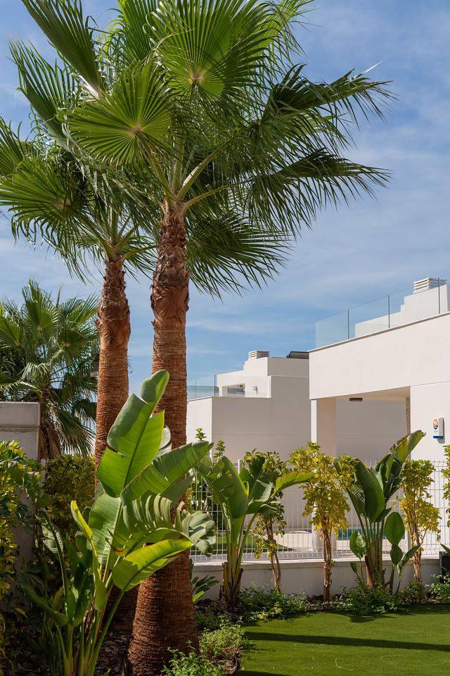 Villa Horizonte – Pool & garden